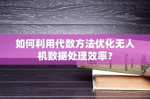 如何利用代数方法优化无人机数据处理效率？