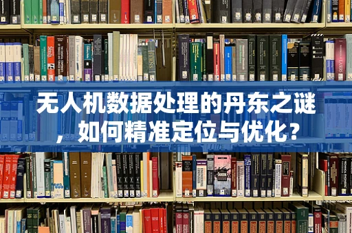 无人机数据处理的丹东之谜，如何精准定位与优化？