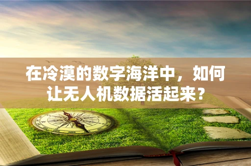 在冷漠的数字海洋中，如何让无人机数据活起来？