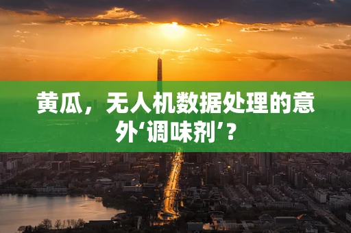 黄瓜，无人机数据处理的意外‘调味剂’？