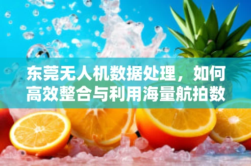 东莞无人机数据处理，如何高效整合与利用海量航拍数据？