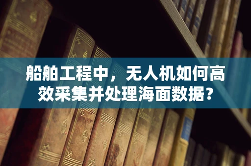 船舶工程中，无人机如何高效采集并处理海面数据？