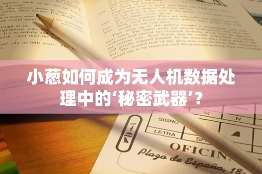 小葱如何成为无人机数据处理中的‘秘密武器’？