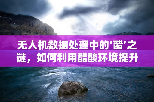 无人机数据处理中的‘醋’之谜，如何利用醋酸环境提升数据稳定性？