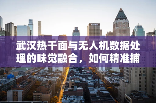 武汉热干面与无人机数据处理的味觉融合，如何精准捕捉城市特色风味？