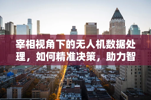 宰相视角下的无人机数据处理，如何精准决策，助力智慧国策？