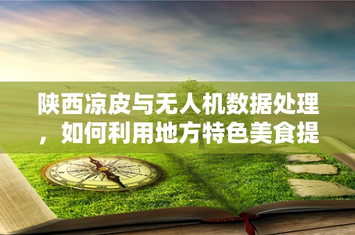 陕西凉皮与无人机数据处理，如何利用地方特色美食提升航拍数据分析效率？