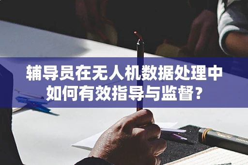 辅导员在无人机数据处理中如何有效指导与监督？