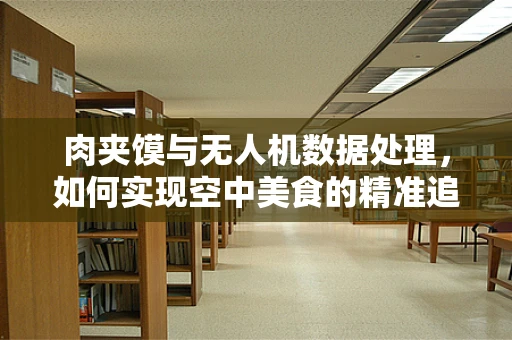 肉夹馍与无人机数据处理，如何实现空中美食的精准追踪？