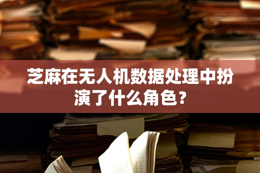 芝麻在无人机数据处理中扮演了什么角色？