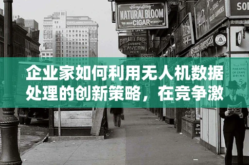 企业家如何利用无人机数据处理的创新策略，在竞争激烈的市场中脱颖而出？