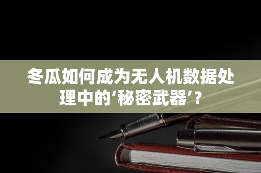 冬瓜如何成为无人机数据处理中的‘秘密武器’？