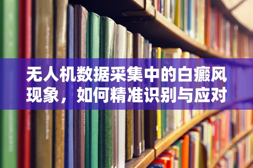 无人机数据采集中的白癜风现象，如何精准识别与应对？