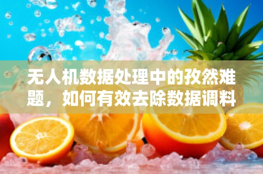 无人机数据处理中的孜然难题，如何有效去除数据调料