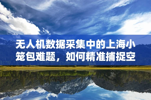 无人机数据采集中的上海小笼包难题，如何精准捕捉空中美食的细节？