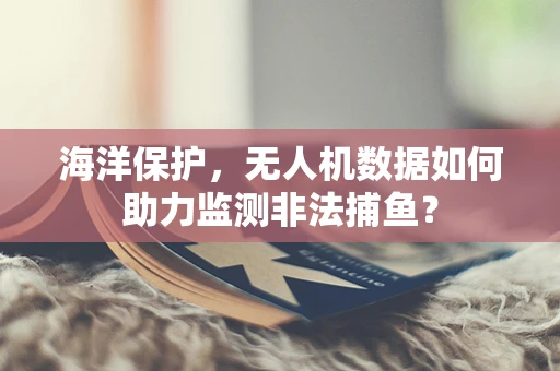 海洋保护，无人机数据如何助力监测非法捕鱼？