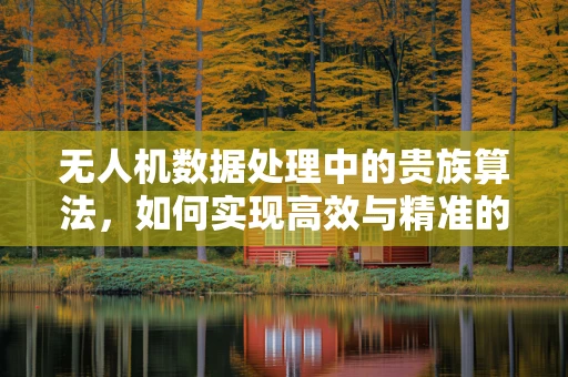 无人机数据处理中的贵族算法，如何实现高效与精准的平衡？