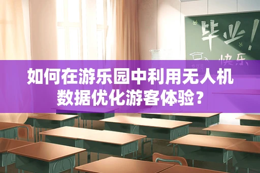 如何在游乐园中利用无人机数据优化游客体验？