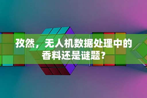 孜然，无人机数据处理中的香料还是谜题？