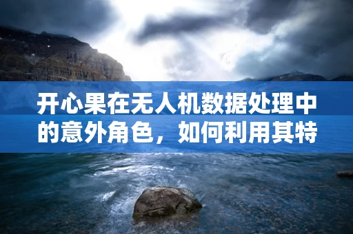 开心果在无人机数据处理中的意外角色，如何利用其特性优化数据传输？