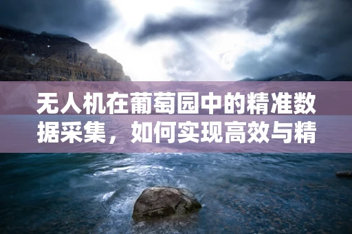 无人机在葡萄园中的精准数据采集，如何实现高效与精确的平衡？