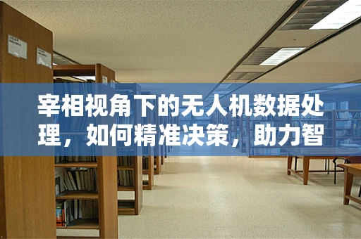 宰相视角下的无人机数据处理，如何精准决策，助力智慧治理？