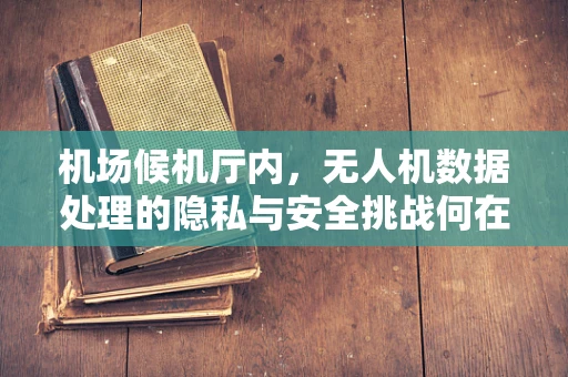 机场候机厅内，无人机数据处理的隐私与安全挑战何在？