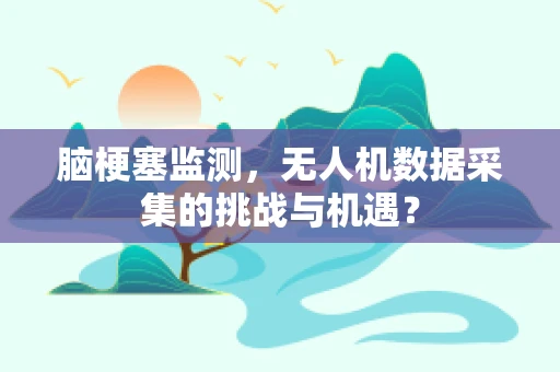 脑梗塞监测，无人机数据采集的挑战与机遇？