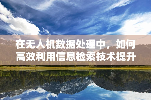 在无人机数据处理中，如何高效利用信息检索技术提升数据筛选效率？