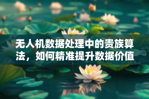 无人机数据处理中的贵族算法，如何精准提升数据价值？