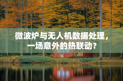 微波炉与无人机数据处理，一场意外的热联动？