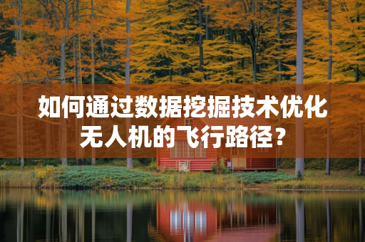 如何通过数据挖掘技术优化无人机的飞行路径？