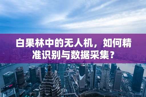 白果林中的无人机，如何精准识别与数据采集？