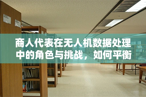 商人代表在无人机数据处理中的角色与挑战，如何平衡商业利益与数据安全？