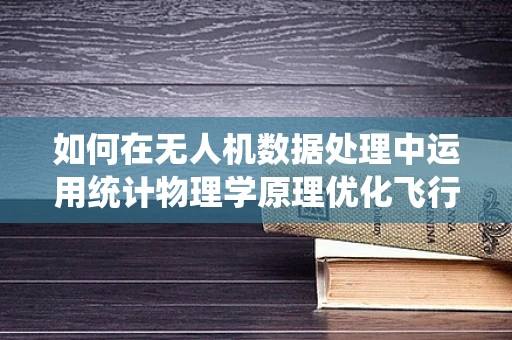 如何在无人机数据处理中运用统计物理学原理优化飞行路径？