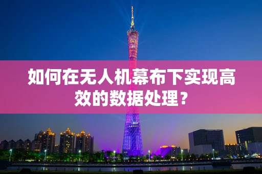 如何在无人机幕布下实现高效的数据处理？