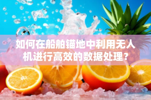 如何在船舶锚地中利用无人机进行高效的数据处理？