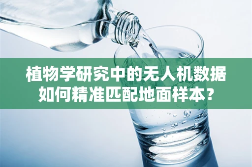 植物学研究中的无人机数据如何精准匹配地面样本？