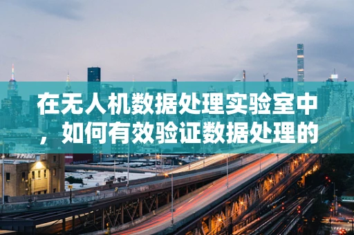 在无人机数据处理实验室中，如何有效验证数据处理的准确性与效率？