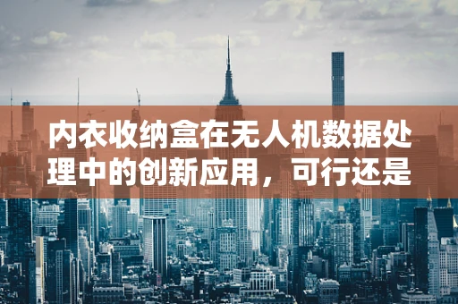 内衣收纳盒在无人机数据处理中的创新应用，可行还是鸡肋？