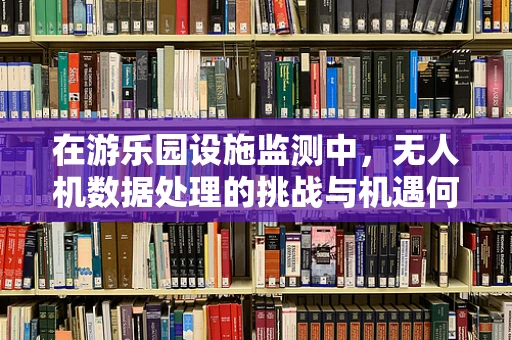 在游乐园设施监测中，无人机数据处理的挑战与机遇何在？