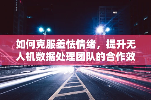 如何克服羞怯情绪，提升无人机数据处理团队的合作效率？