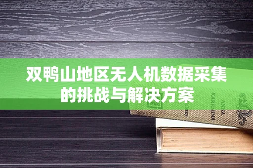 双鸭山地区无人机数据采集的挑战与解决方案