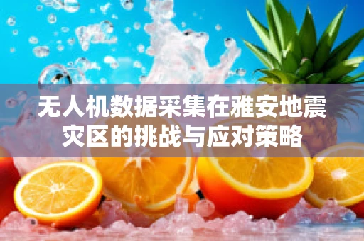 无人机数据采集在雅安地震灾区的挑战与应对策略