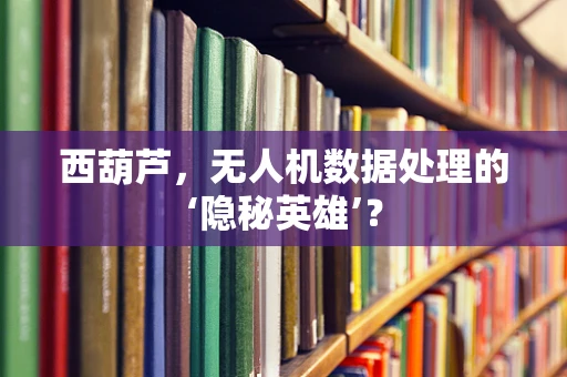 西葫芦，无人机数据处理的‘隐秘英雄’？