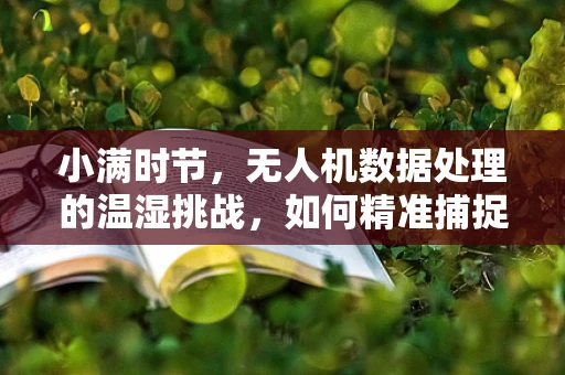 小满时节，无人机数据处理的温湿挑战，如何精准捕捉农田湿度变化？