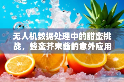 无人机数据处理中的甜蜜挑战，蜂蜜芥末酱的意外应用？