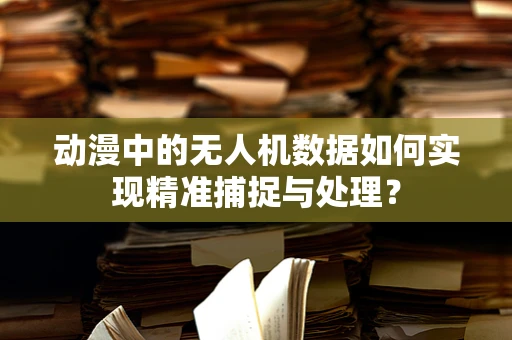 动漫中的无人机数据如何实现精准捕捉与处理？