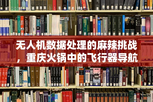 无人机数据处理的麻辣挑战，重庆火锅中的飞行器导航难题？