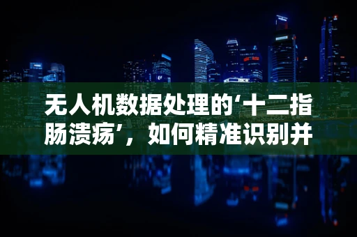 无人机数据处理的‘十二指肠溃疡’，如何精准识别并缓解？